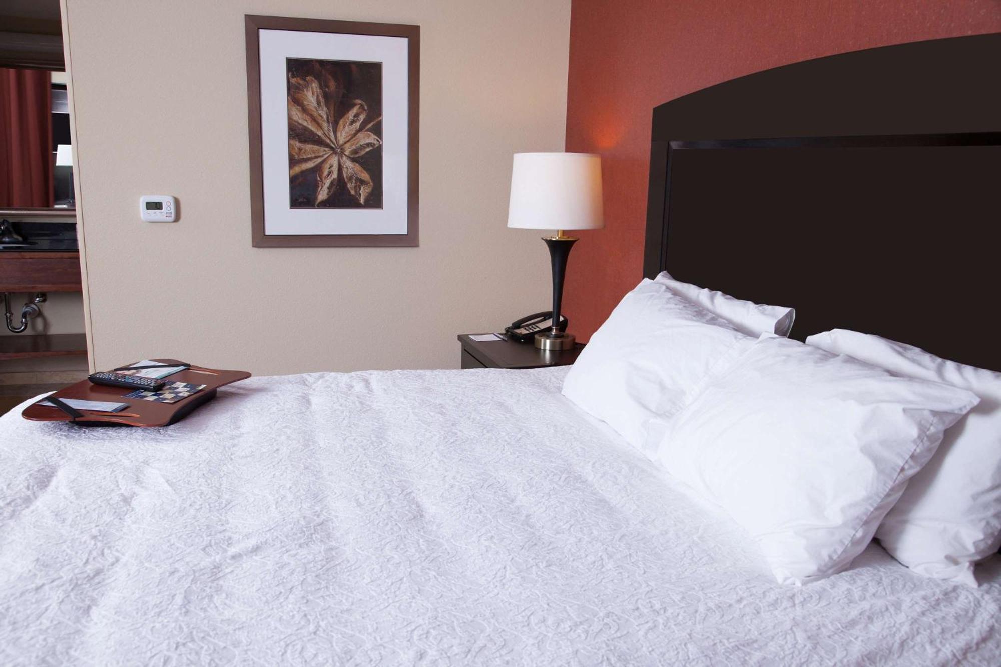 Hampton Inn & Suites Dickinson Nd Zewnętrze zdjęcie
