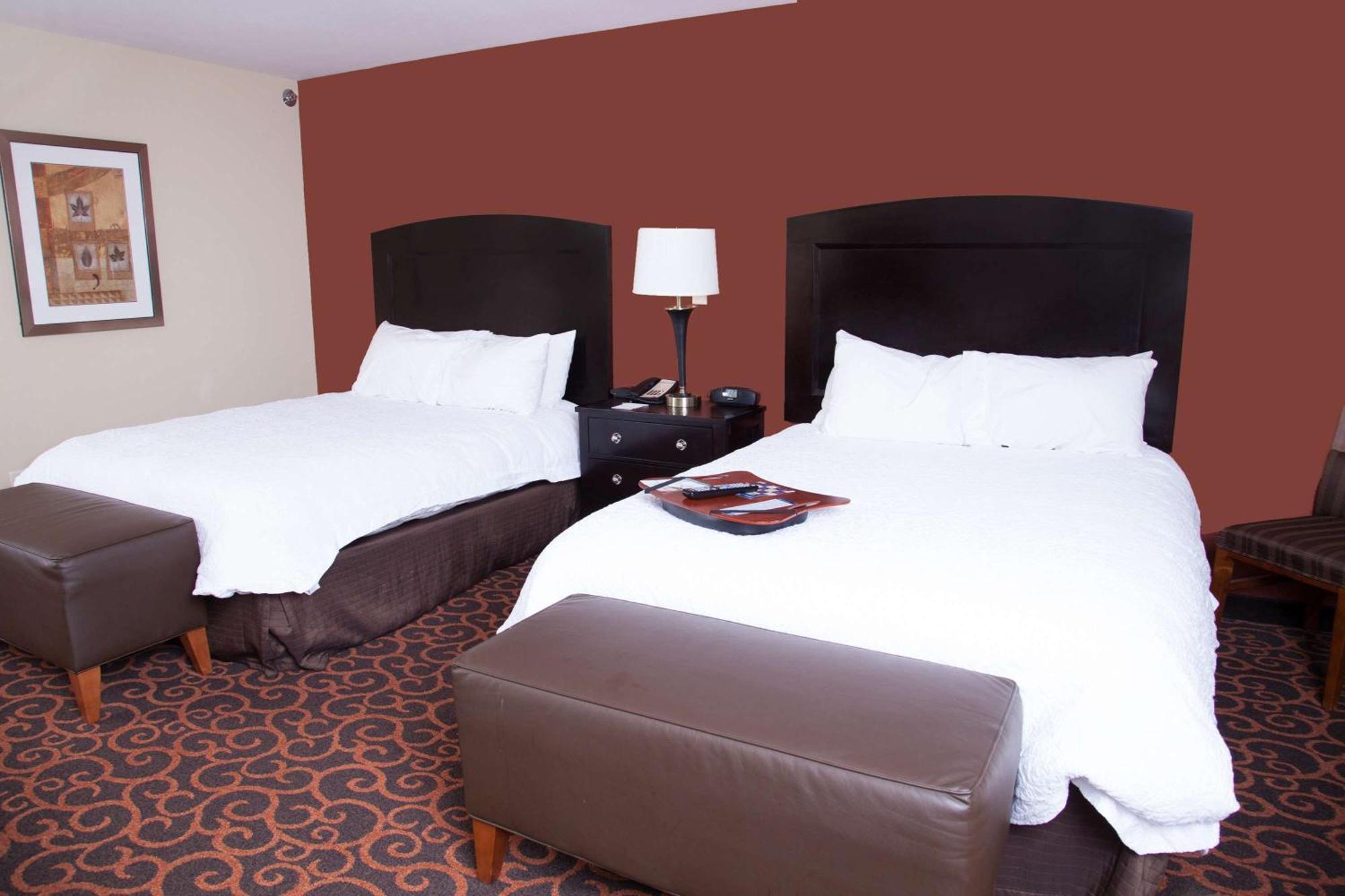 Hampton Inn & Suites Dickinson Nd Zewnętrze zdjęcie