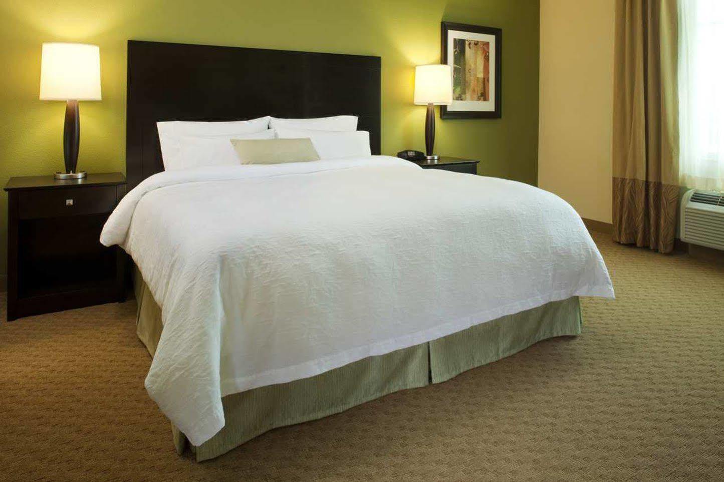 Hampton Inn & Suites Dickinson Nd Pokój zdjęcie